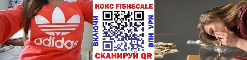 Cocaine Fish Scale  Купить  Менделеевск 