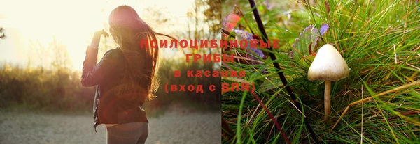 герыч Касимов